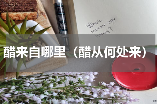 醋来自哪里（醋从何处来）