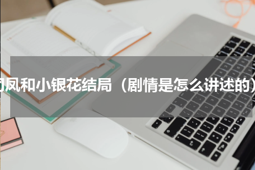 司凤和小银花结局（剧情是怎么讲述的）