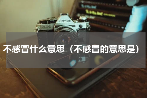 不感冒什么意思（不感冒的意思是）