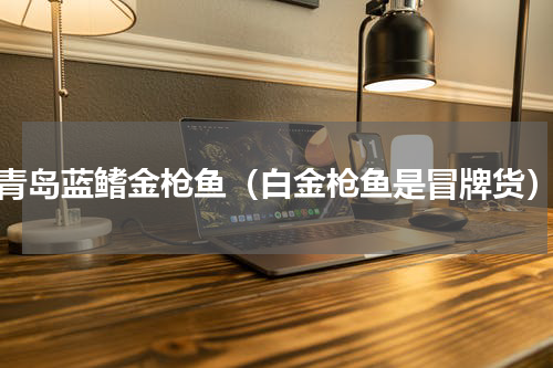 青岛蓝鳍金枪鱼（白金枪鱼是冒牌货）