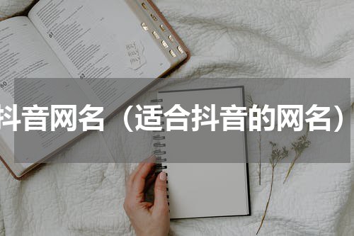 抖音网名（适合抖音的网名）