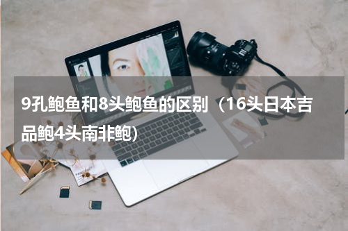 9孔鲍鱼和8头鲍鱼的区别（16头日本吉品鲍4头南非鲍）