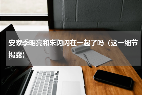安家季明亮和朱闪闪在一起了吗（这一细节揭露）