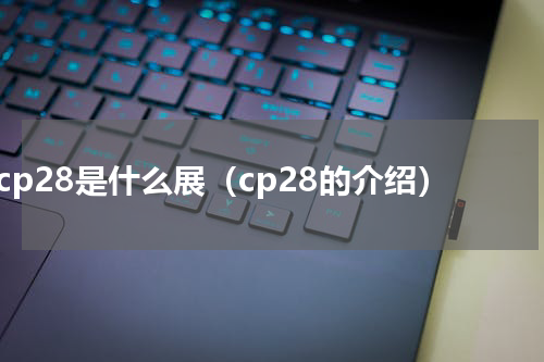 cp28是什么展（cp28的介绍）