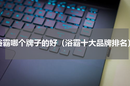 浴霸哪个牌子的好（浴霸十大品牌排名）