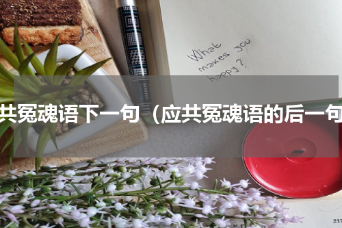 应共冤魂语下一句（应共冤魂语的后一句）