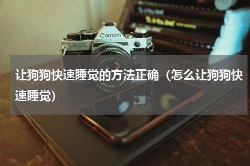 让狗狗快速睡觉的方法正确（怎么让狗狗快速睡觉）