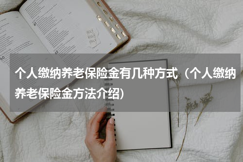 个人缴纳养老保险金有几种方式（个人缴纳养老保险金方法介绍）