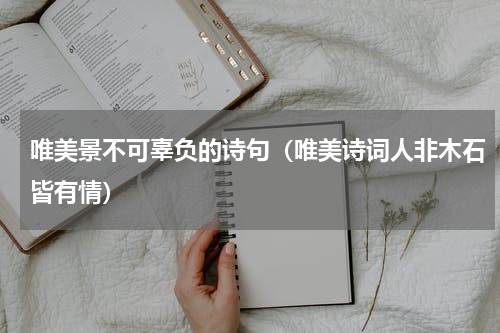 唯美景不可辜负的诗句（唯美诗词人非木石皆有情）
