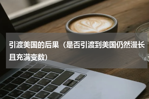 引渡美国的后果（是否引渡到美国仍然漫长且充满变数）