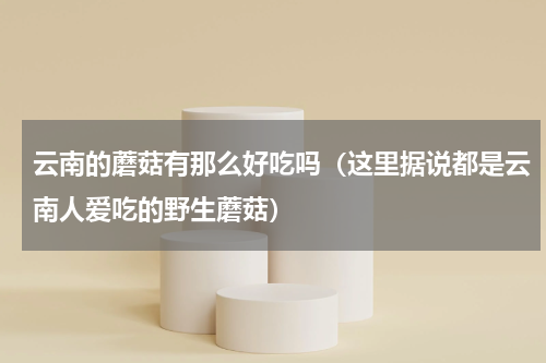 云南的蘑菇有那么好吃吗（这里据说都是云南人爱吃的野生蘑菇）