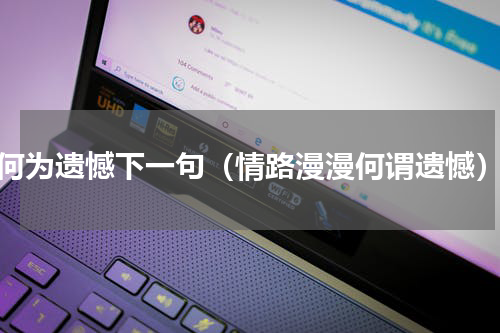 何为遗憾下一句（情路漫漫何谓遗憾）
