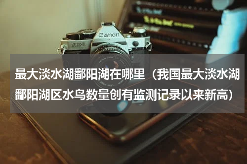 最大淡水湖鄱阳湖在哪里（我国最大淡水湖鄱阳湖区水鸟数量创有监测记录以来新高）