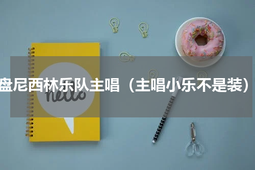 盘尼西林乐队主唱（主唱小乐不是装）