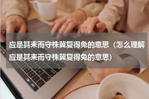 应是其耒而守株冀复得兔的意思（怎么理解应是其耒而守株冀复得兔的意思）