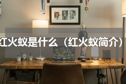 红火蚁是什么（红火蚁简介）