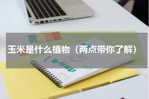 玉米是什么植物（两点带你了解）