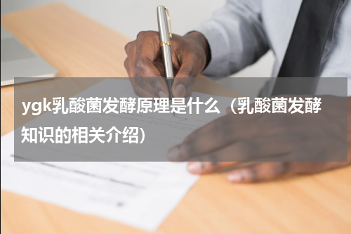 ygk乳酸菌发酵原理是什么（乳酸菌发酵知识的相关介绍）