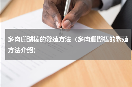 多肉珊瑚棒的繁殖方法（多肉珊瑚棒的繁殖方法介绍）