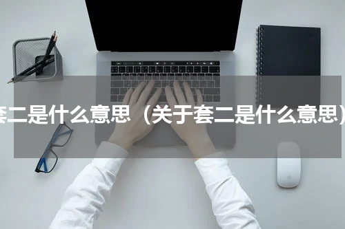 套二是什么意思（关于套二是什么意思）