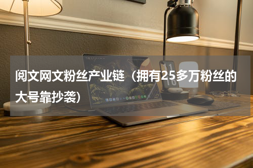 阅文网文粉丝产业链（拥有25多万粉丝的大号靠抄袭）
