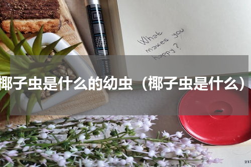 椰子虫是什么的幼虫（椰子虫是什么）