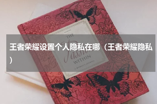 王者荣耀设置个人隐私在哪（王者荣耀隐私）