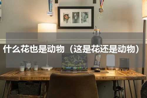 什么花也是动物（这是花还是动物）