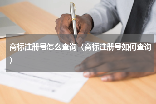 商标注册号怎么查询（商标注册号如何查询）