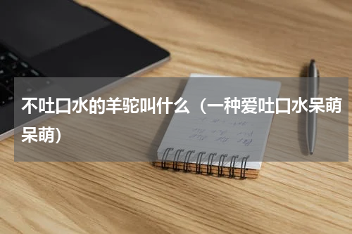 不吐口水的羊驼叫什么（一种爱吐口水呆萌呆萌）