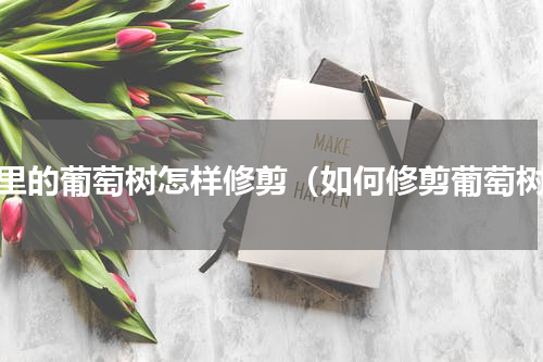 家里的葡萄树怎样修剪（如何修剪葡萄树）