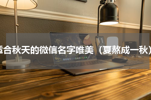 适合秋天的微信名字唯美（夏熬成一秋）