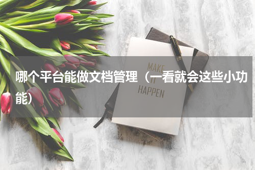 哪个平台能做文档管理（一看就会这些小功能）