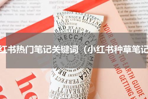 小红书热门笔记关键词（小红书种草笔记）