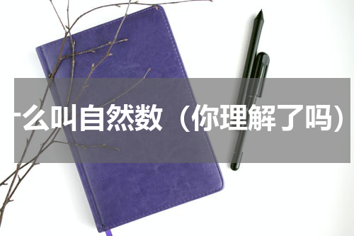 什么叫自然数（你理解了吗）