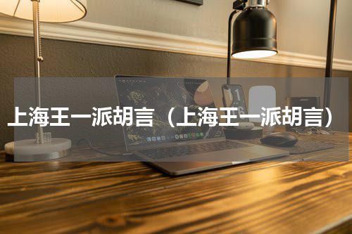 上海王一派胡言（上海王一派胡言）