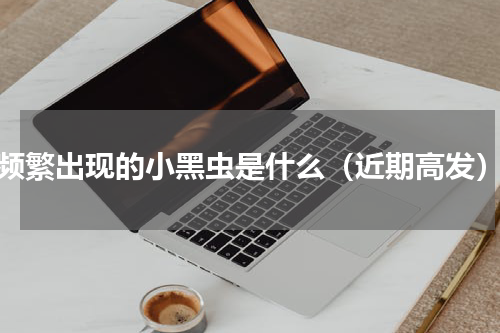 频繁出现的小黑虫是什么（近期高发）
