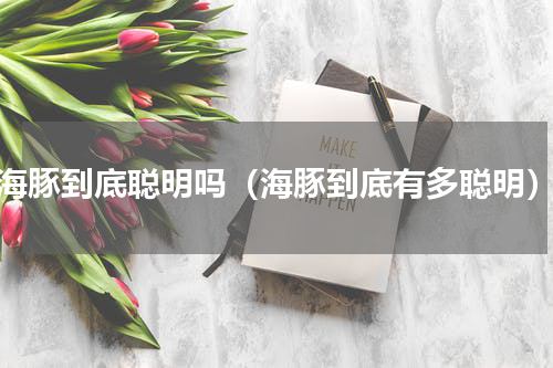 海豚到底聪明吗（海豚到底有多聪明）