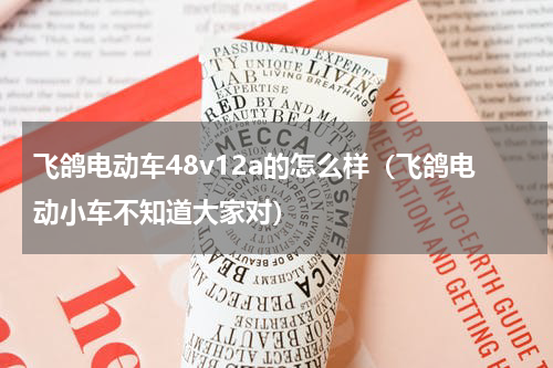 飞鸽电动车48v12a的怎么样（飞鸽电动小车不知道大家对）