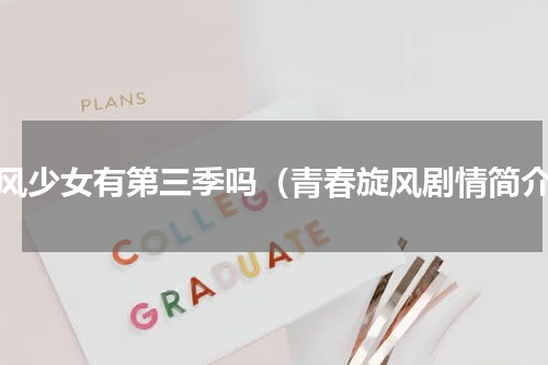 旋风少女有第三季吗（青春旋风剧情简介）