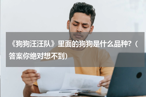 《狗狗汪汪队》里面的狗狗是什么品种?（答案你绝对想不到）