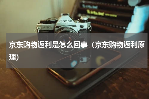 京东购物返利是怎么回事（京东购物返利原理）