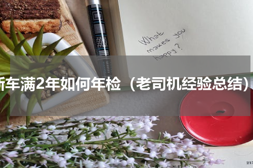 新车满2年如何年检（老司机经验总结）