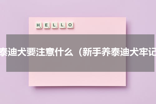 养泰迪犬要注意什么（新手养泰迪犬牢记）