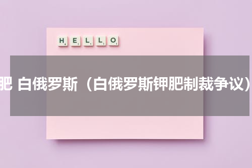 钾肥 白俄罗斯（白俄罗斯钾肥制裁争议）