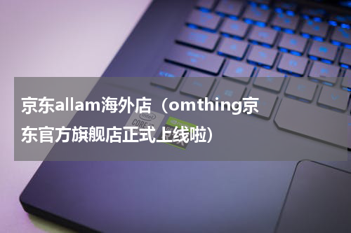 京东allam海外店（omthing京东官方旗舰店正式上线啦）