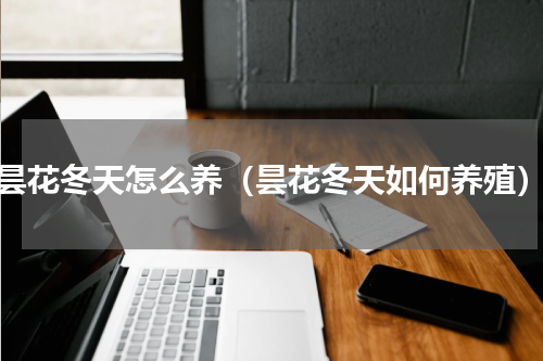 昙花冬天怎么养（昙花冬天如何养殖）
