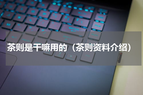 茶则是干嘛用的（茶则资料介绍）