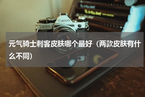 元气骑士刺客皮肤哪个最好（两款皮肤有什么不同）