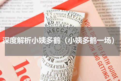 深度解析小姨多鹤（小姨多鹤一场）